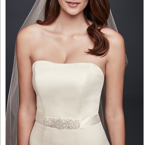 Pre-owned David’s Bridal - Strapless Trumpet Wedding Dress with Ribbon Waist - Picture 11 of 16